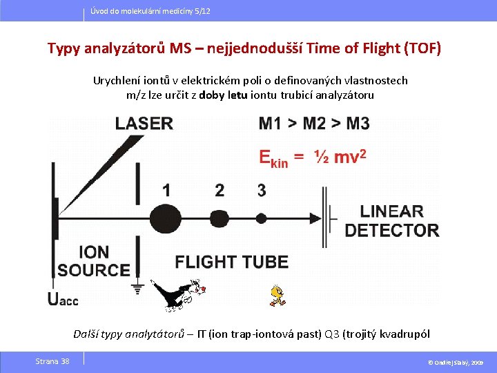 Úvod do molekulární medicíny 5/12 Typy analyzátorů MS – nejjednodušší Time of Flight (TOF)