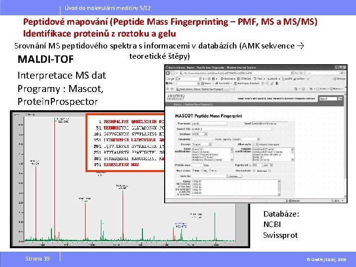 Úvod do molekulární medicíny 5/12 Peptidové mapování (Peptide Mass Fingerprinting – PMF, MS a