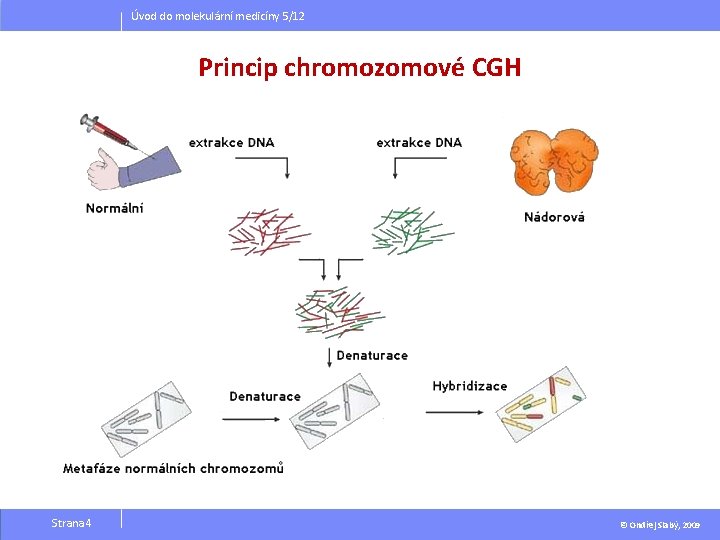 Úvod do molekulární medicíny 5/12 Princip chromozomové CGH Strana 4 © Ondřej Slabý, 2009