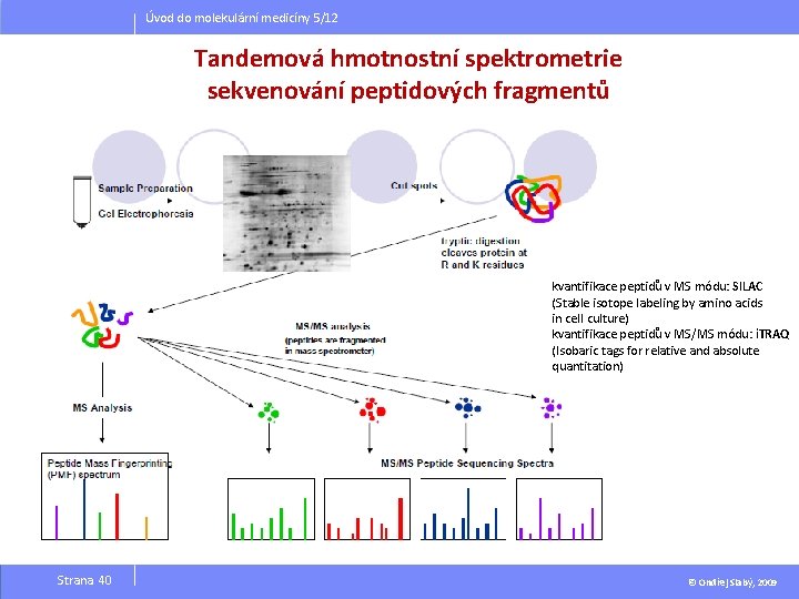 Úvod do molekulární medicíny 5/12 Tandemová hmotnostní spektrometrie sekvenování peptidových fragmentů kvantifikace peptidů v