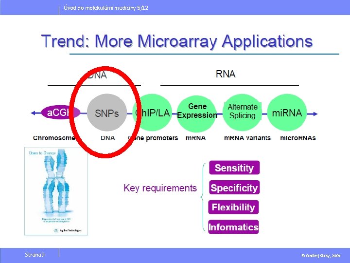 Úvod do molekulární medicíny 5/12 Strana 9 © Ondřej Slabý, 2009 