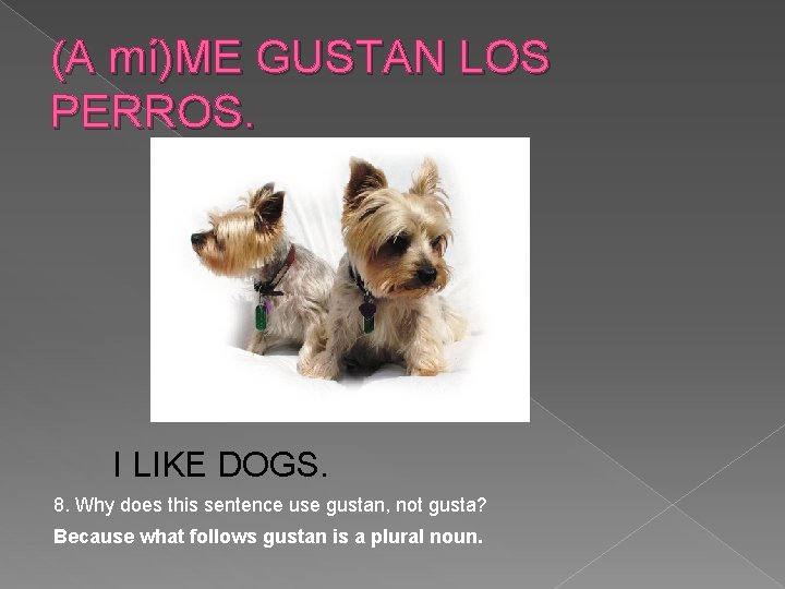 (A mí)ME GUSTAN LOS PERROS. I LIKE DOGS. 8. Why does this sentence use