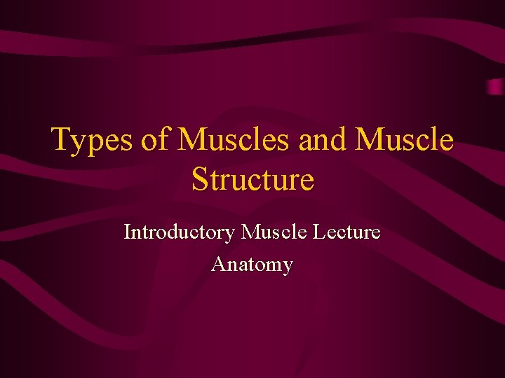 Types of Muscles and Muscle Structure Introductory Muscle Lecture Anatomy 