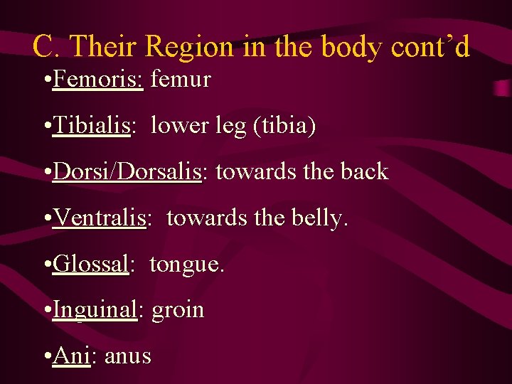 C. Their Region in the body cont’d • Femoris: femur • Tibialis: lower leg