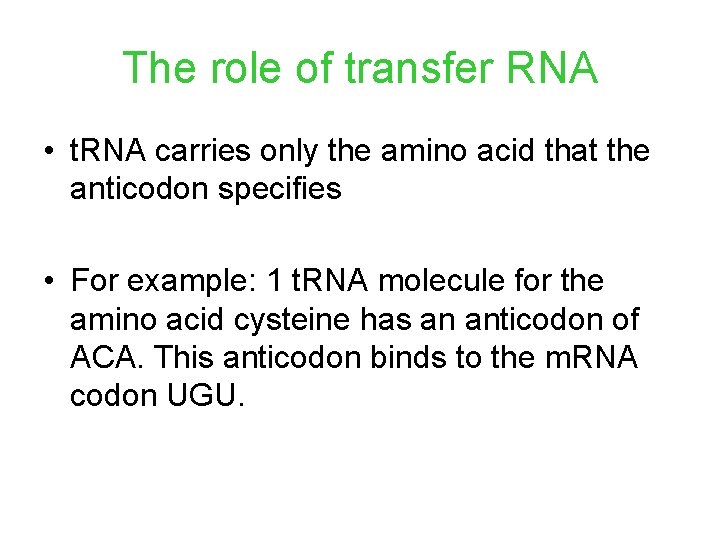 The role of transfer RNA • t. RNA carries only the amino acid that The role of transfer RNA • t. RNA carries only the amino acid that