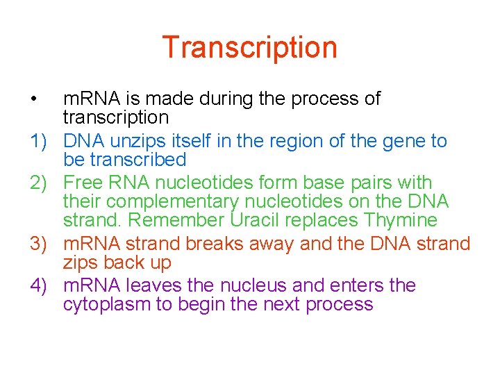 Transcription • 1) 2) 3) 4) m. RNA is made during the process of Transcription • 1) 2) 3) 4) m. RNA is made during the process of