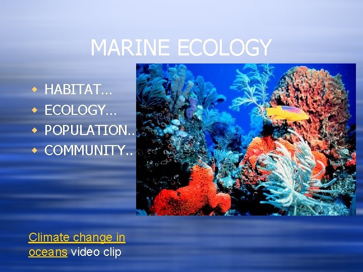 MARINE ECOLOGY w w HABITAT… ECOLOGY… POPULATION…. COMMUNITY. . Climate change in oceans video