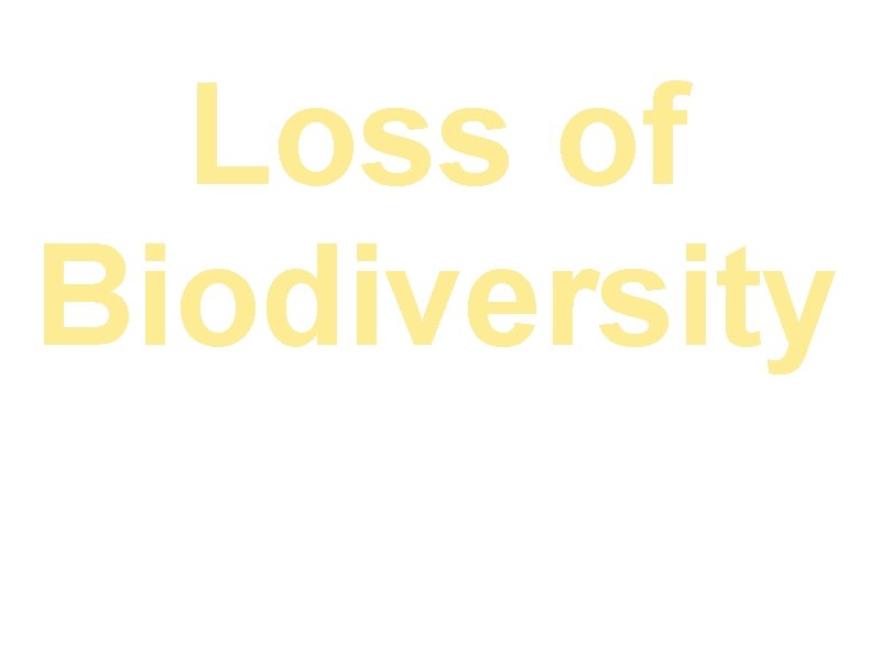 Loss of Biodiversity By: Dardan Seci, Miranda Tyson, Ziqi Xu, and Ryan Jaipersaud 