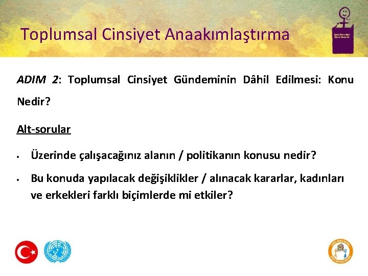 Toplumsal Cinsiyet Anaakımlaştırma ADIM 2: Toplumsal Cinsiyet Gündeminin Dâhil Edilmesi: Konu Nedir? Alt-sorular Üzerinde