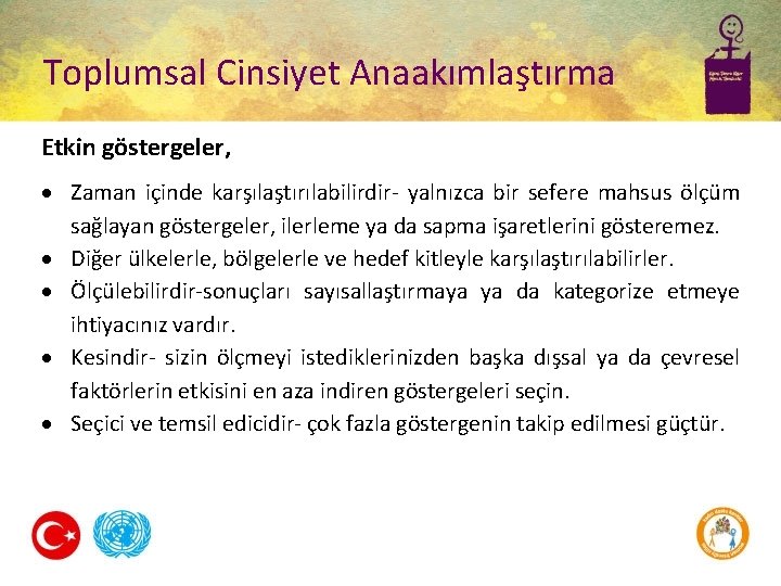 Toplumsal Cinsiyet Anaakımlaştırma Etkin göstergeler, Zaman içinde karşılaştırılabilirdir- yalnızca bir sefere mahsus ölçüm sağlayan