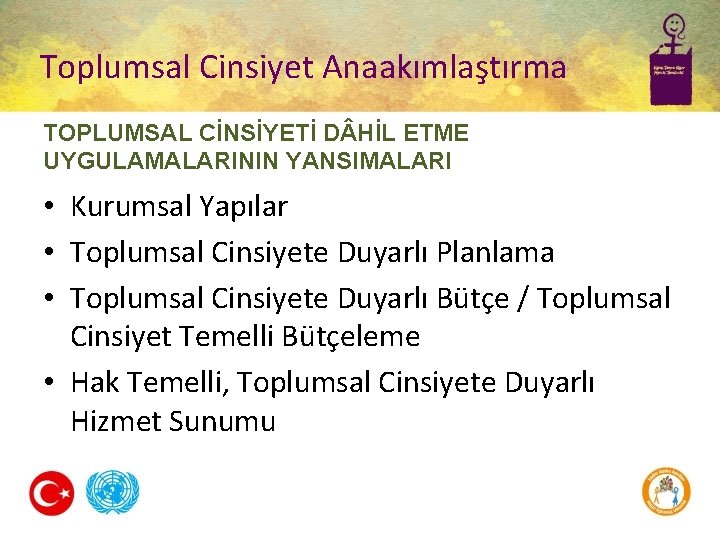 Toplumsal Cinsiyet Anaakımlaştırma TOPLUMSAL CİNSİYETİ D HİL ETME UYGULAMALARININ YANSIMALARI • Kurumsal Yapılar •