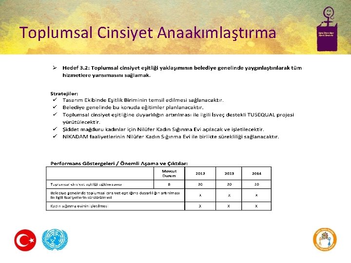 Toplumsal Cinsiyet Anaakımlaştırma 