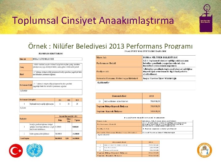 Toplumsal Cinsiyet Anaakımlaştırma Örnek : Nilüfer Belediyesi 2013 Performans Programı 