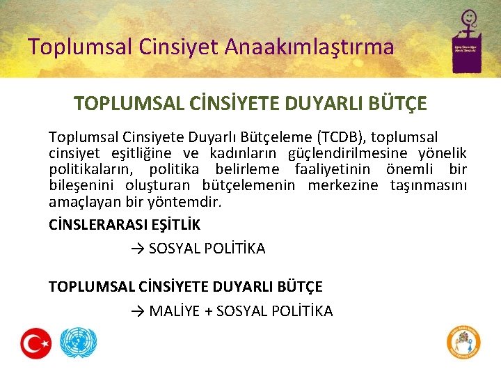 Toplumsal Cinsiyet Anaakımlaştırma TOPLUMSAL CİNSİYETE DUYARLI BÜTÇE Toplumsal Cinsiyete Duyarlı Bütçeleme (TCDB), toplumsal cinsiyet