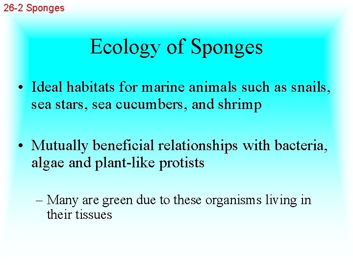 26 -2 Sponges Ecology of Sponges • Ideal habitats for marine animals such as