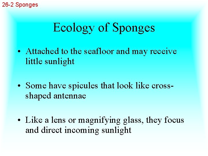 26 -2 Sponges Ecology of Sponges • Attached to the seafloor and may receive