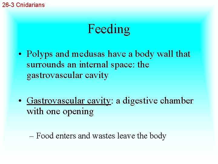 26 -3 Cnidarians Feeding • Polyps and medusas have a body wall that surrounds