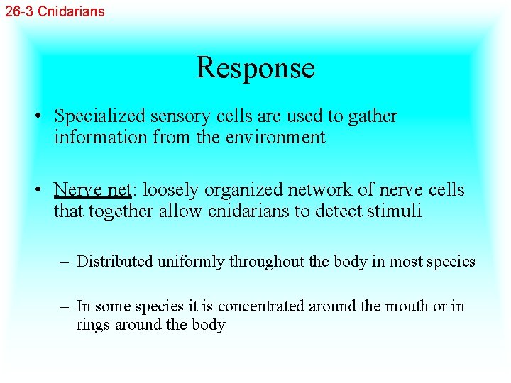 26 -3 Cnidarians Response • Specialized sensory cells are used to gather information from