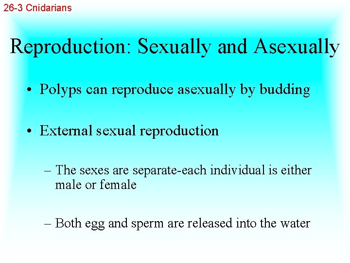 26 -3 Cnidarians Reproduction: Sexually and Asexually • Polyps can reproduce asexually by budding