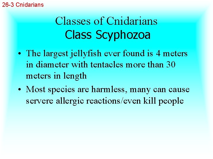 26 -3 Cnidarians Classes of Cnidarians Class Scyphozoa • The largest jellyfish ever found
