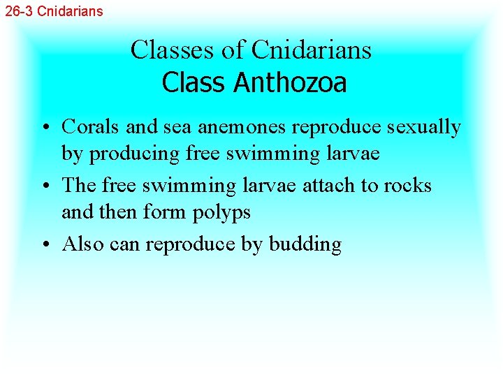 26 -3 Cnidarians Classes of Cnidarians Class Anthozoa • Corals and sea anemones reproduce