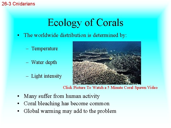 26 -3 Cnidarians Ecology of Corals • The worldwide distribution is determined by: –