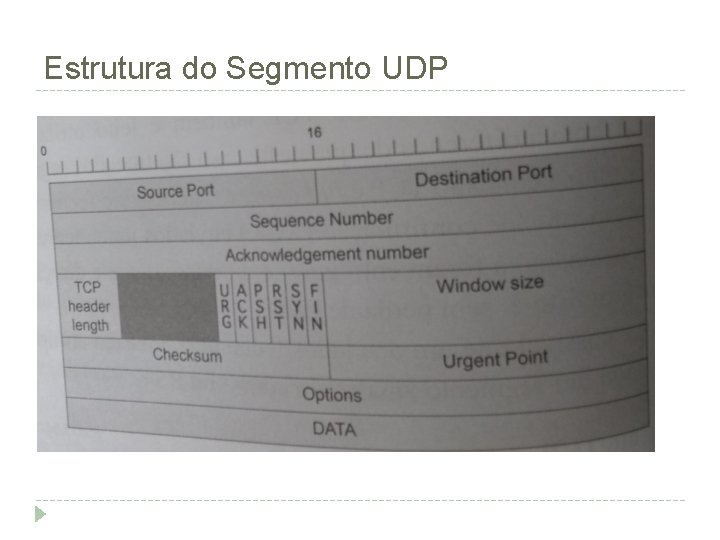 Estrutura do Segmento UDP 