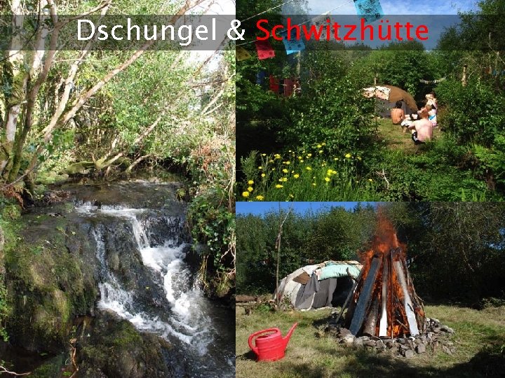 Dschungel & Schwitzhütte Ai. DA Aromatherapy International : ||: Eliane Zimmermann : ||: http: