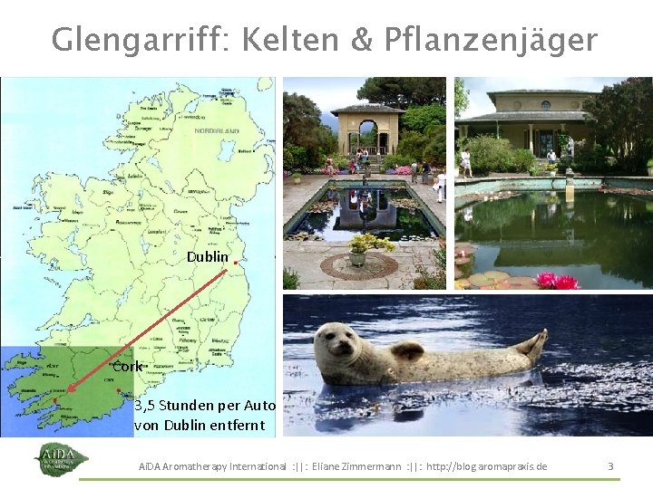 Glengarriff: Kelten & Pflanzenjäger Dublin Cork 3, 5 Stunden per Auto von Dublin entfernt Glengarriff: Kelten & Pflanzenjäger Dublin Cork 3, 5 Stunden per Auto von Dublin entfernt