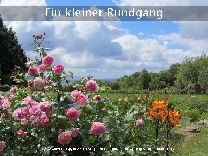 Ein kleiner Rundgang Ai. DA Aromatherapy International : ||: Eliane Zimmermann : ||: http: Ein kleiner Rundgang Ai. DA Aromatherapy International : ||: Eliane Zimmermann : ||: http: