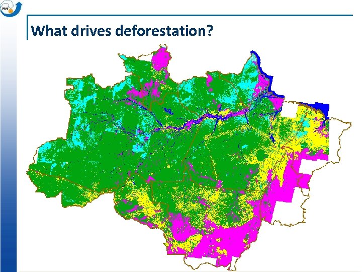 What drives deforestation? 