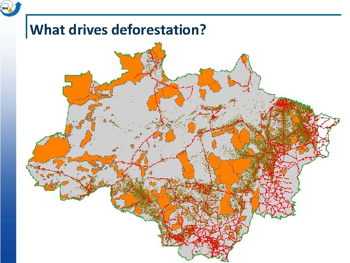 What drives deforestation? 