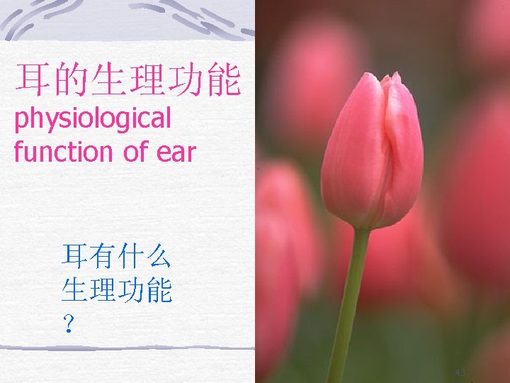 耳的生理功能 physiological function of ear 耳有什么 生理功能 ？ 43 