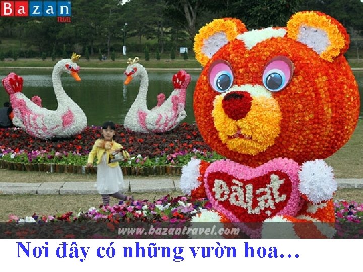 Nơi đây có những vườn hoa… 