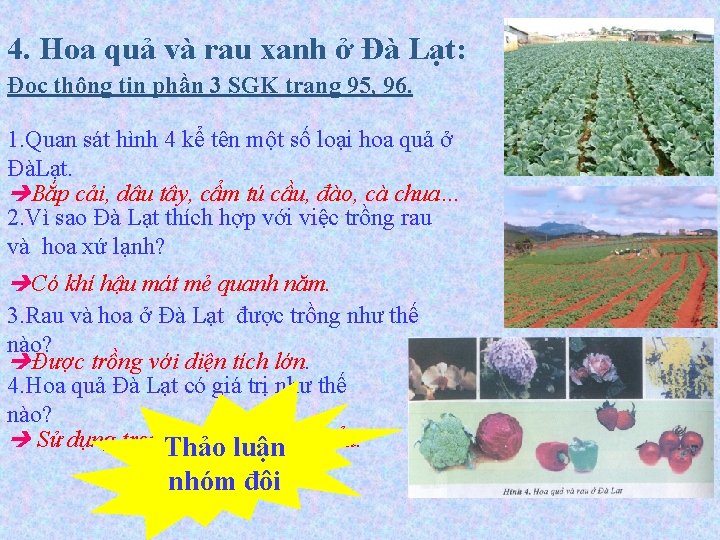 4. Hoa quả và rau xanh ở Đà Lạt: Đọc thông tin phần 3