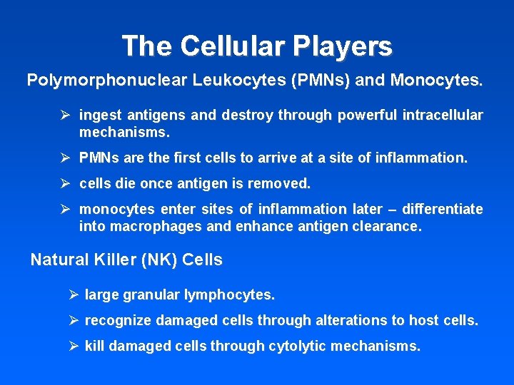 The Cellular Players Polymorphonuclear Leukocytes (PMNs) and Monocytes. Ø ingest antigens and destroy through