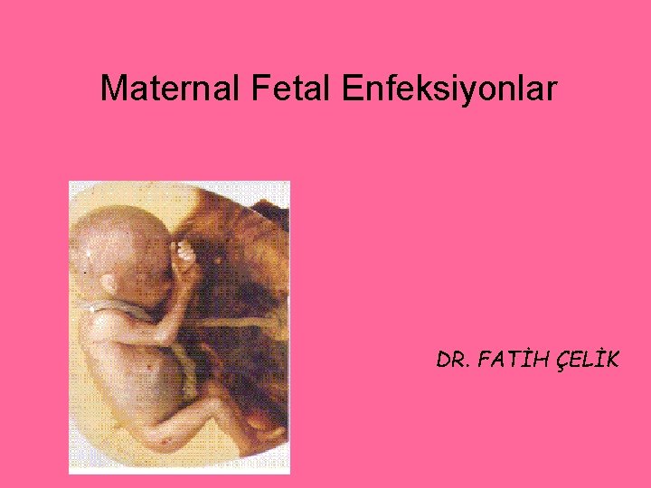 Maternal Fetal Enfeksiyonlar DR. FATİH ÇELİK 