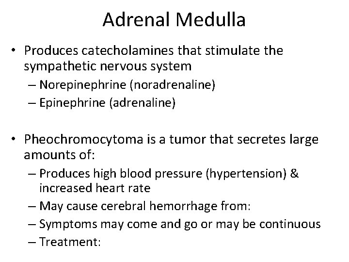 Adrenal Medulla • Produces catecholamines that stimulate the sympathetic nervous system – Norepinephrine (noradrenaline)