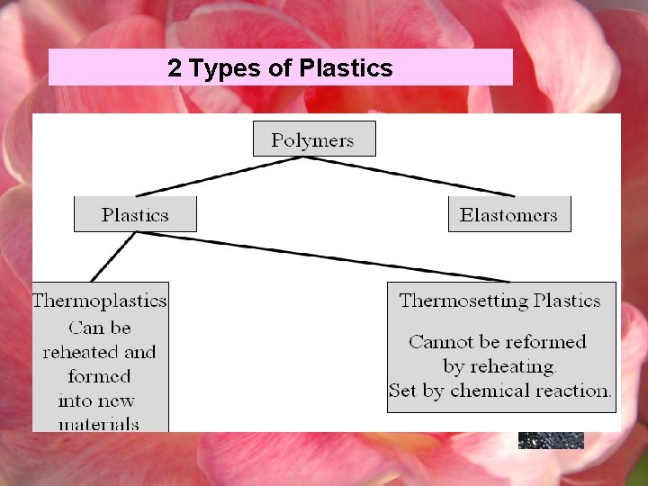 2 Types of Plastics 
