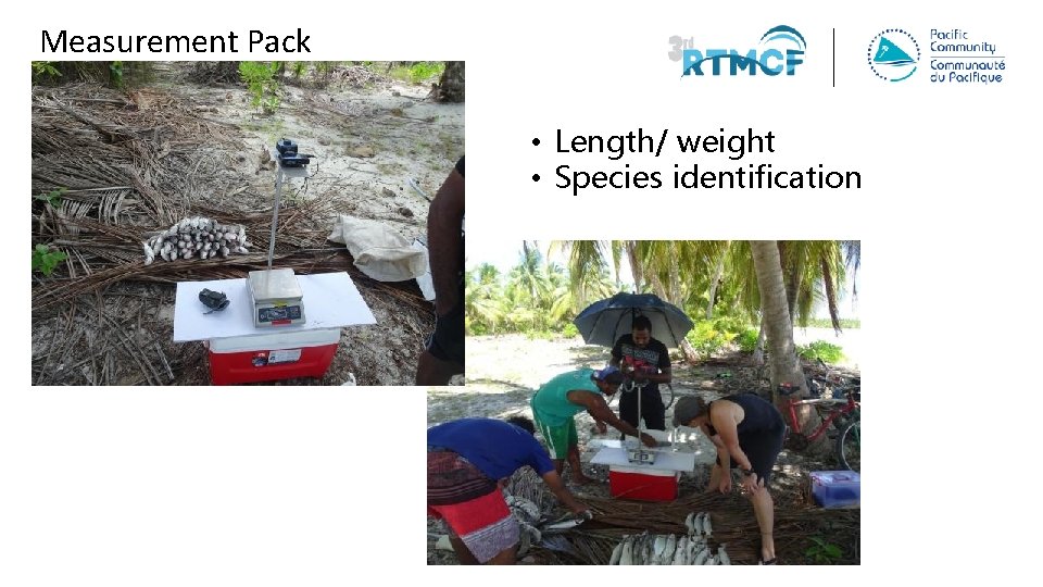 Measurement Pack • Length/ weight • Species identification 