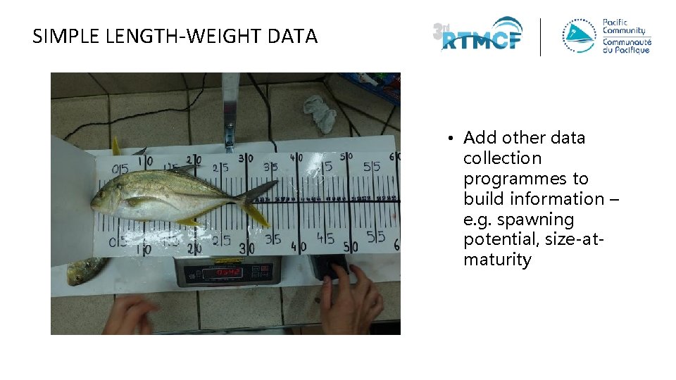 SIMPLE LENGTH-WEIGHT DATA • Add other data collection programmes to build information – e.