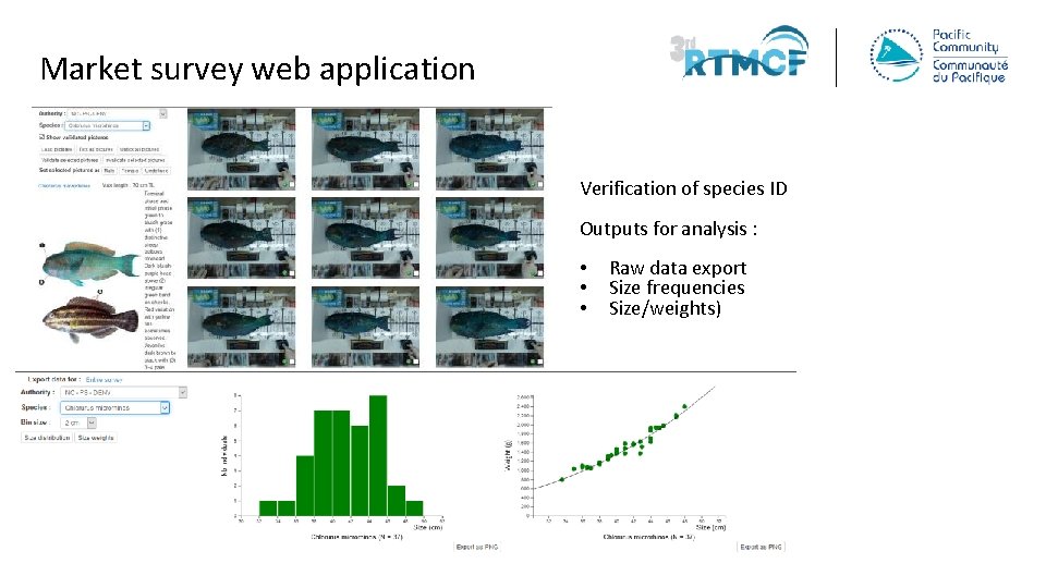 Market survey web application Verification of species ID Outputs for analysis : • •