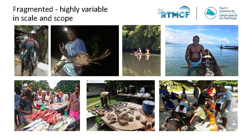 Fragmented - highly variable in scale and scope 