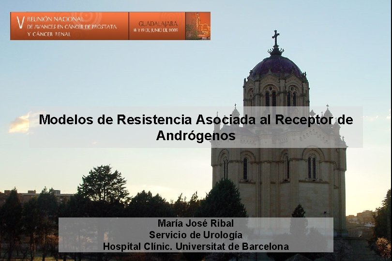 Modelos de Resistencia Asociada al Receptor de Andrgenos