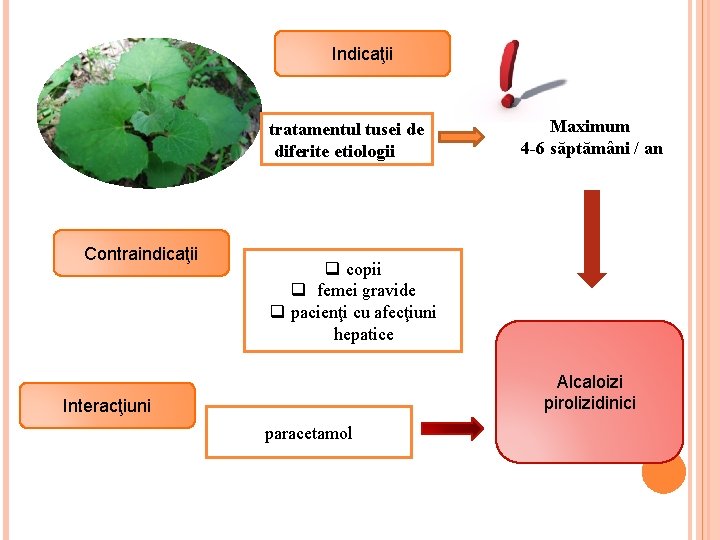 Indicaţii tratamentul tusei de diferite etiologii Contraindicaţii Maximum 4 -6 săptămâni / an q