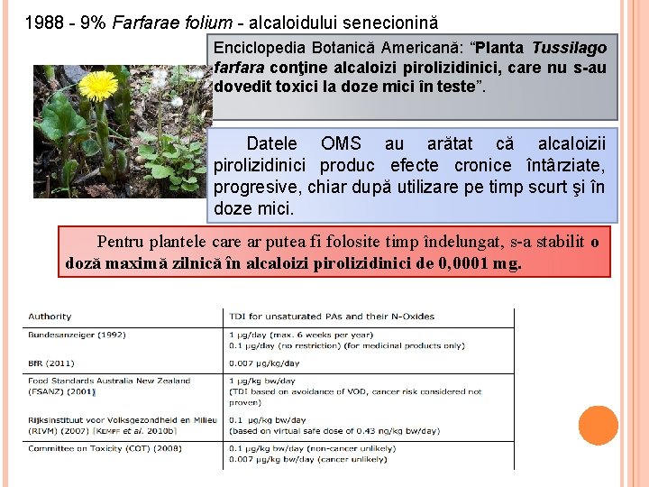 1988 - 9% Farfarae folium - alcaloidului senecionină Enciclopedia Botanică Americană: “Planta Tussilago farfara