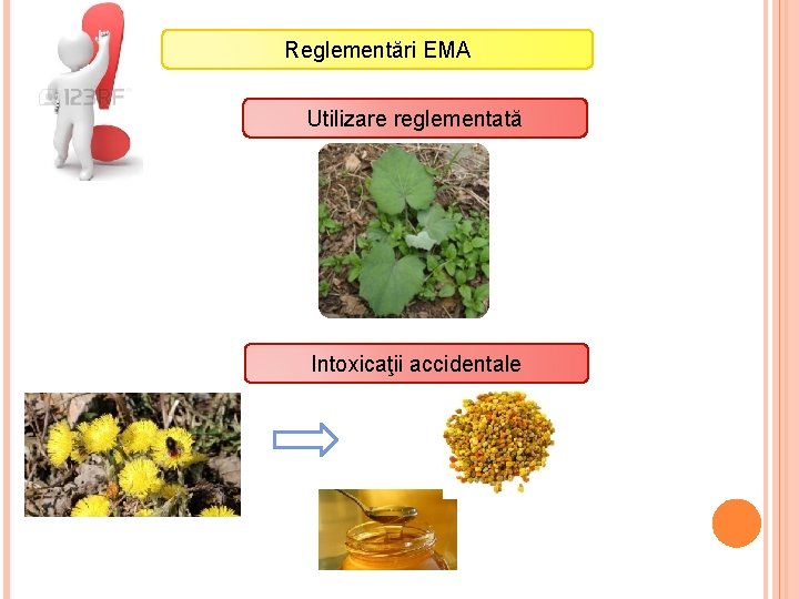 Reglementări EMA Utilizare reglementată Intoxicaţii accidentale 