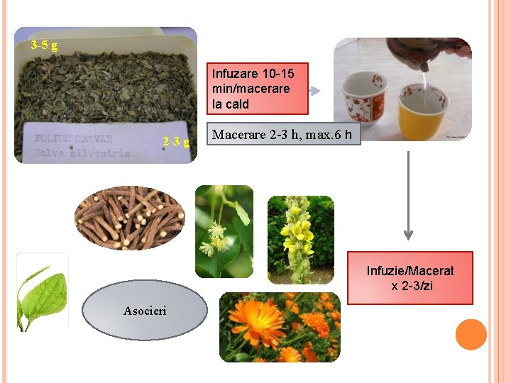 3 -5 g Infuzare 10 -15 min/macerare la cald 2 -3 g Macerare 2