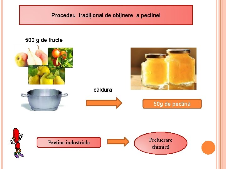 Procedeu tradiţional de obţinere a pectinei 500 g de fructe căldură 50 g de