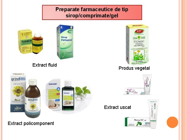 Preparate farmaceutice de tip sirop/comprimate/gel Extract fluid Produs vegetal Extract uscat Extract policomponent 